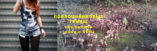 таблы Алзамай