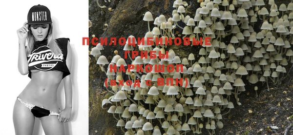 таблы Алзамай