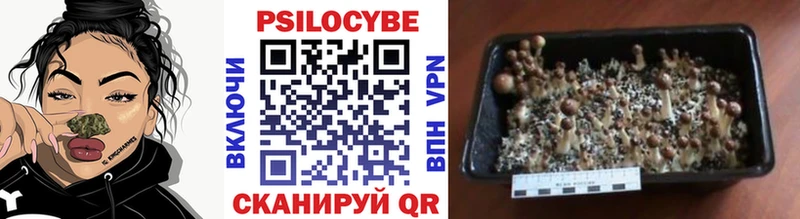 Галлюциногенные грибы MAGIC MUSHROOMS  где купить наркоту  Воткинск 